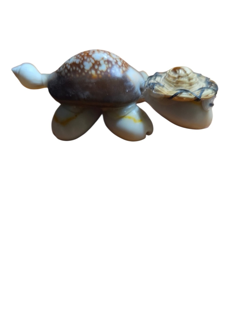 Handcrafted Sea Turtle Shell Accent in Brown and Cream